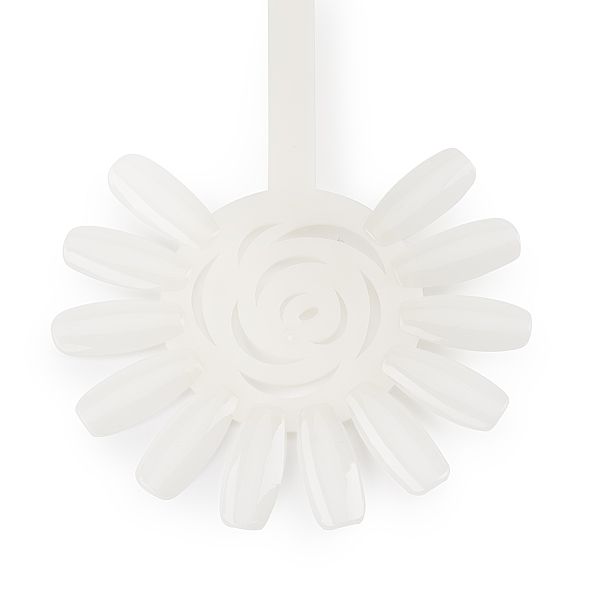 Farbkreis für die Präsentation von Nagellacken in Blütenform