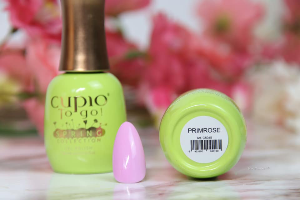 157230190_10219176453944976_3218364684116771808_n Cupio To Go Nagellack der Frühling Kollektion mit pinkem Nagelspitzen