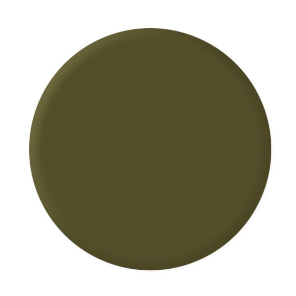 Olivgrüne Farbfläche auf runder Palette für Design- und Malanwendungen