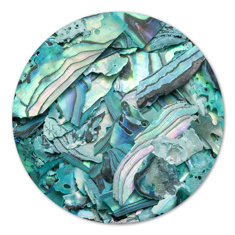 Nahaufnahme von vielfältigen, bunten Abalschalen in Grün- und Blautönen, eine dekorative Naturmaterialien-Kollektion.