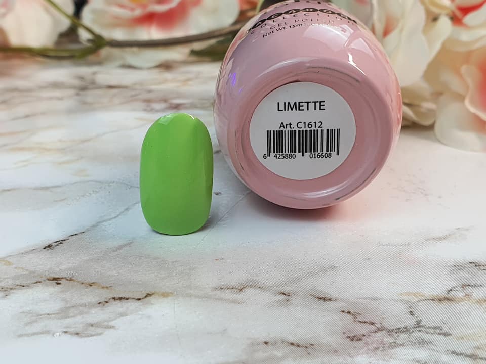 158464630_10219200468505325_1866429724601096846_n Nagellack Farbprobe in Limette neben Flasche mit Etikett
